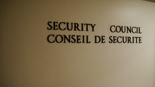 security council 2.jpg